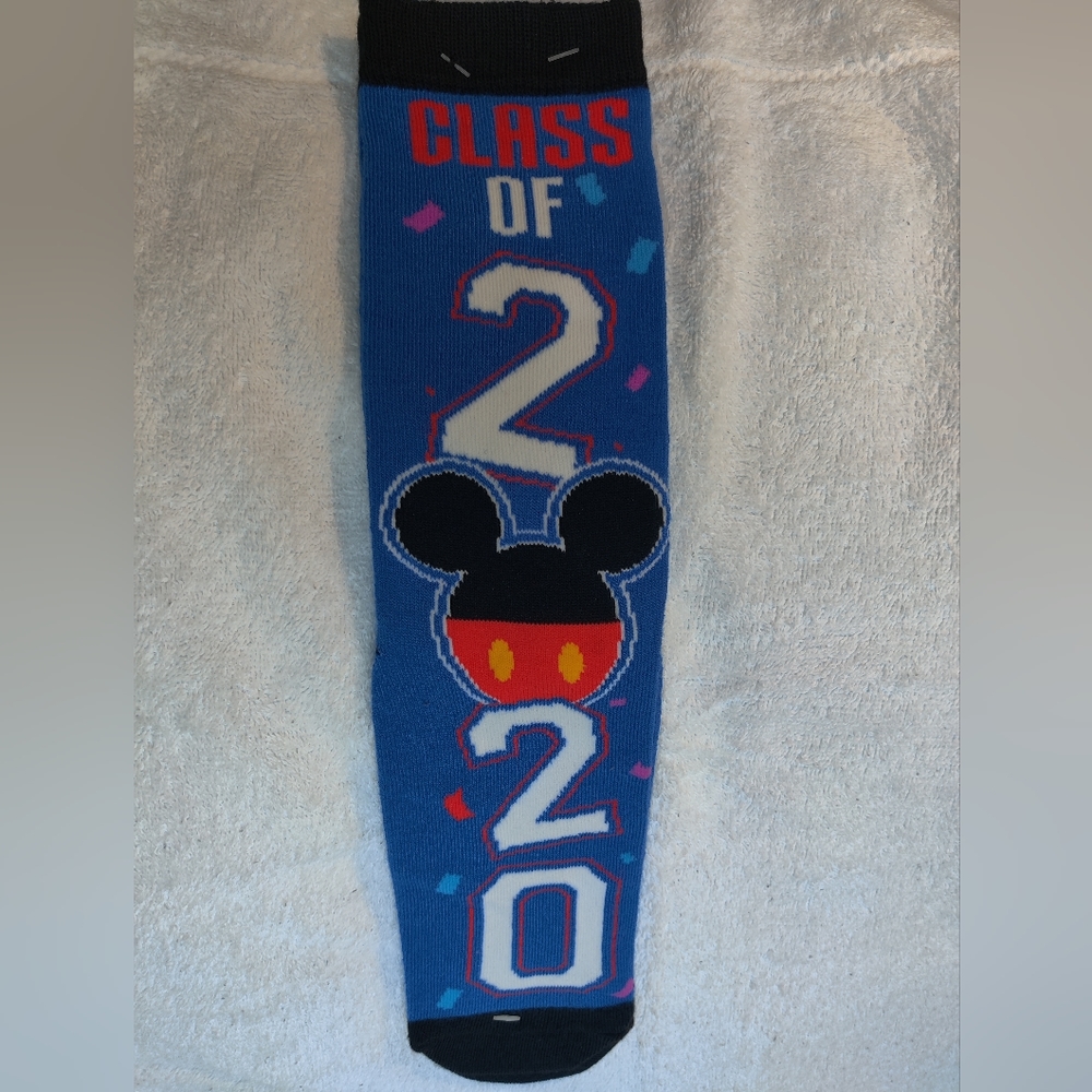 DISNEY PARKS Class Of 2020 Socks